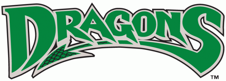 Dayton Dragons 2000-pres wordmark logo iron on heat transfer